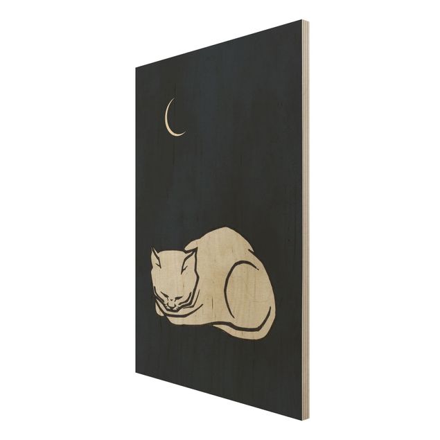 quadro de madeira para parede Sleeping Cat Illustration