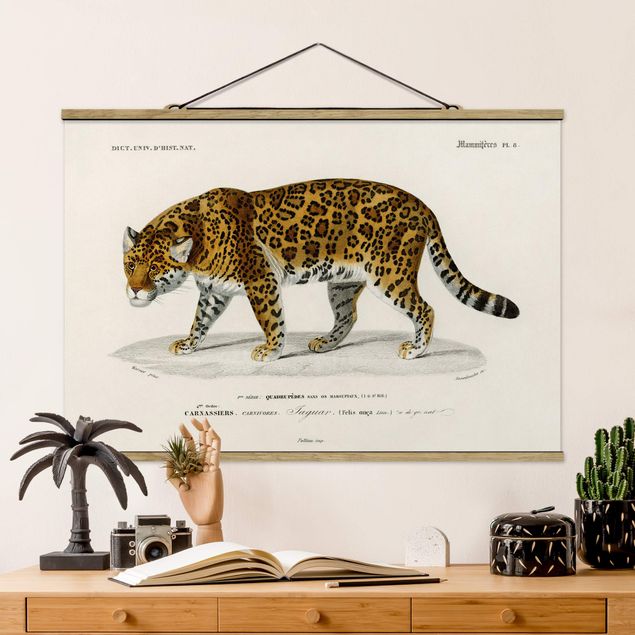 decoraçao cozinha Vintage Board Jaguar
