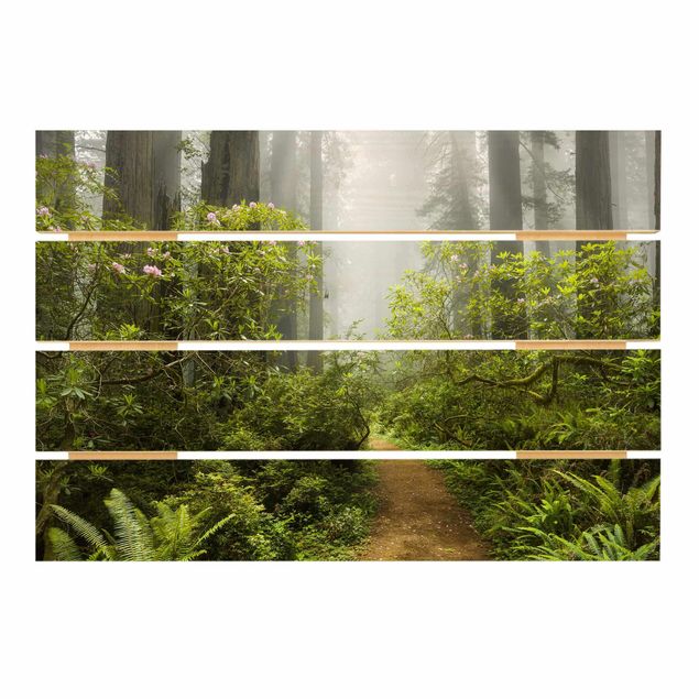 decoração quadros Misty Forest Path