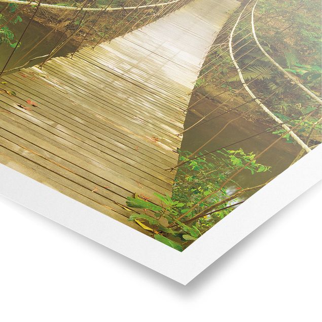 quadros 3d efeito tridimensional Jungle Bridge