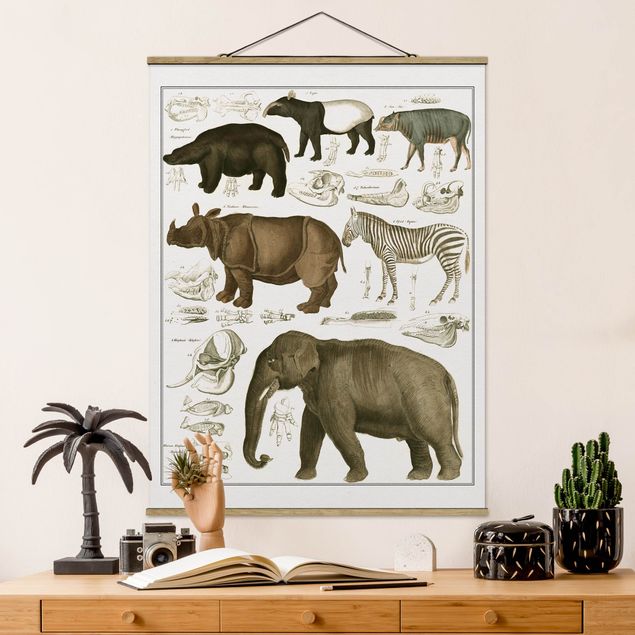 decoraçao cozinha Vintage Board Elephant, Zebra And Rhino