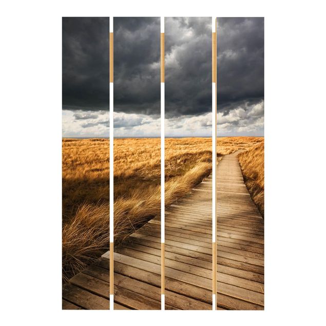 quadros para parede Path Between Dunes
