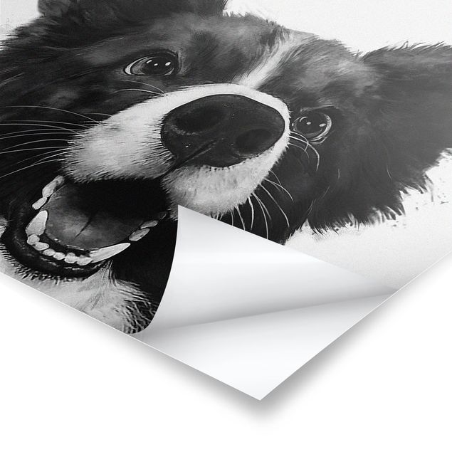 Quadros de Laura Graves Art Illustration Dog Border Collie Black And White Painting