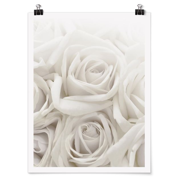 quadro com flores White Roses