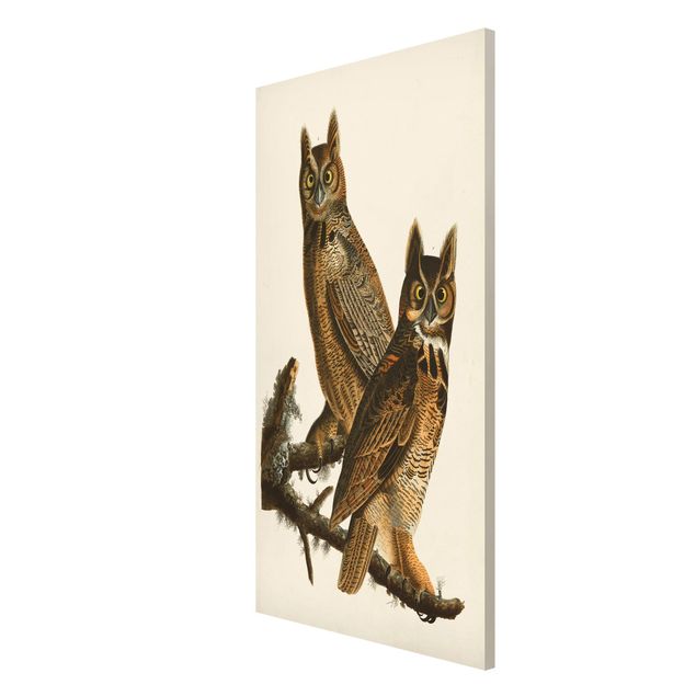 Quadros retro Vintage Board Two Large Owls