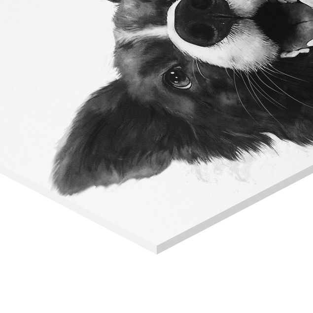 decoração quadros Illustration Dog Border Collie Black And White Painting
