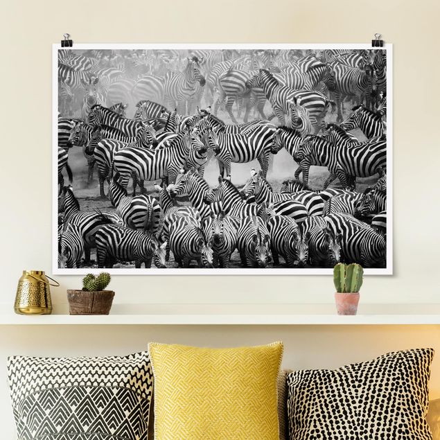 decoraçao para parede de cozinha Zebra herd II