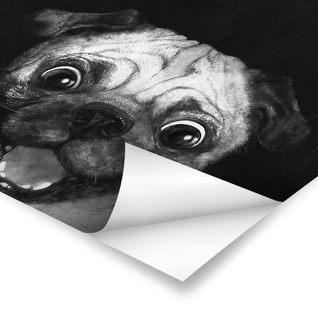 quadros preto e branco para decoração Illustration Dog Pug Painting On Black And White