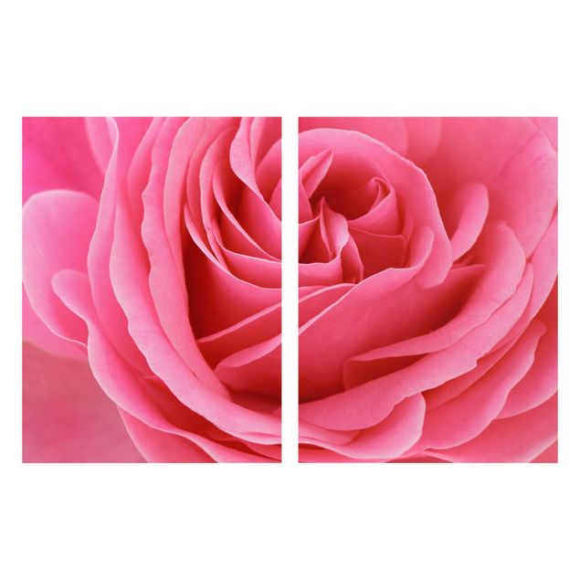 quadros de flores Lustful Pink Rose