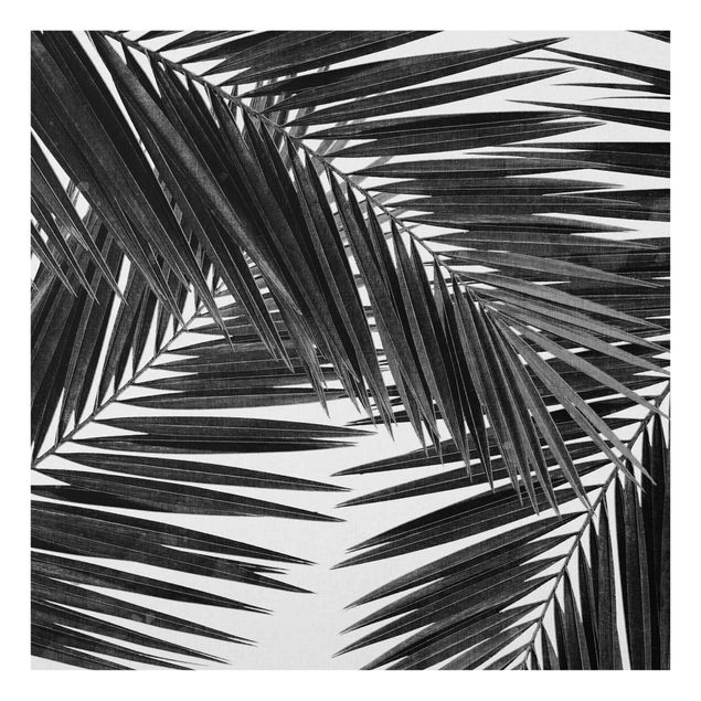 Painel anti-salpicos de cozinha View Through Palm Leaves Black And White