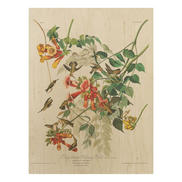 Quadros em madeira flores Vintage Board Hummingbirds