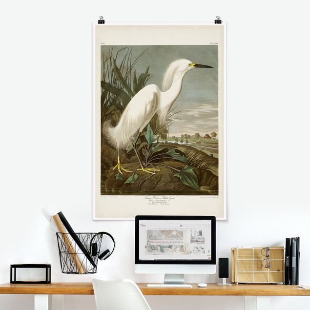 decoraçao para parede de cozinha Vintage Board White Heron I