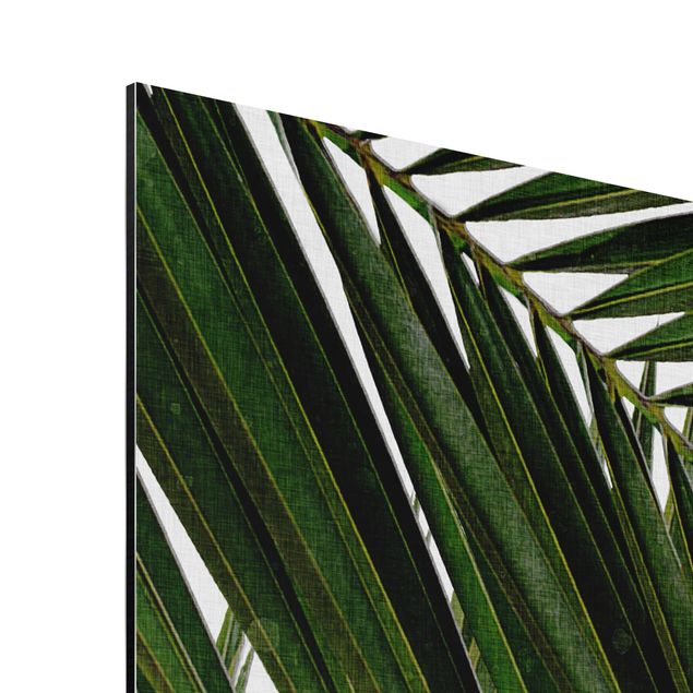 Quadros famosos View Through Green Palm Leaves