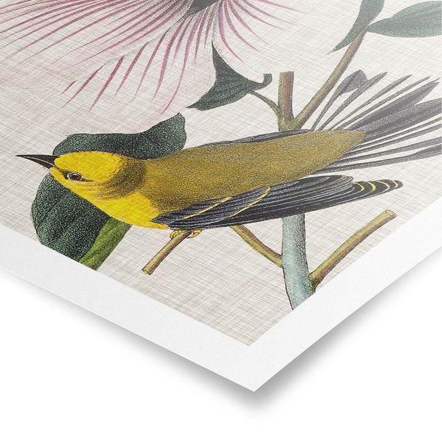 quadros de flores Bird On Linen Yellow I
