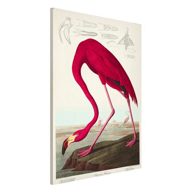 decoraçao cozinha Vintage Board American Flamingo