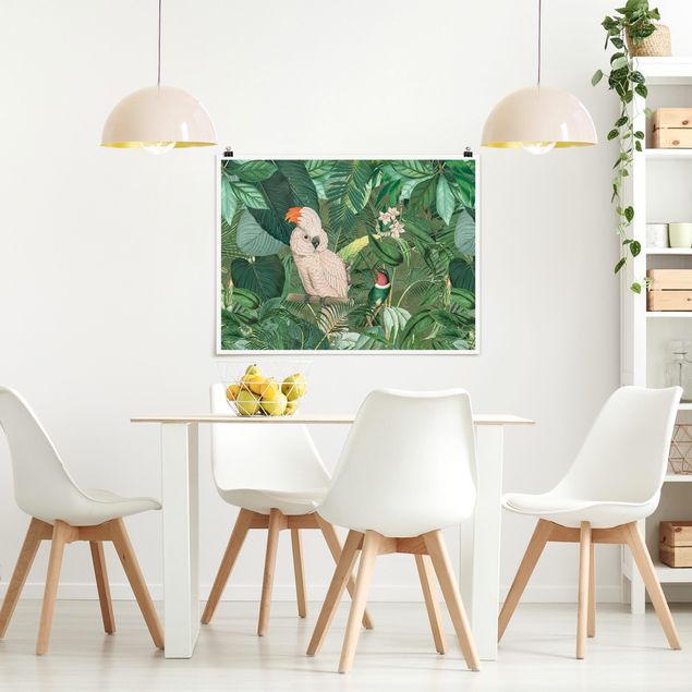 Posters flores Vintage Collage - Kakadu And Hummingbird