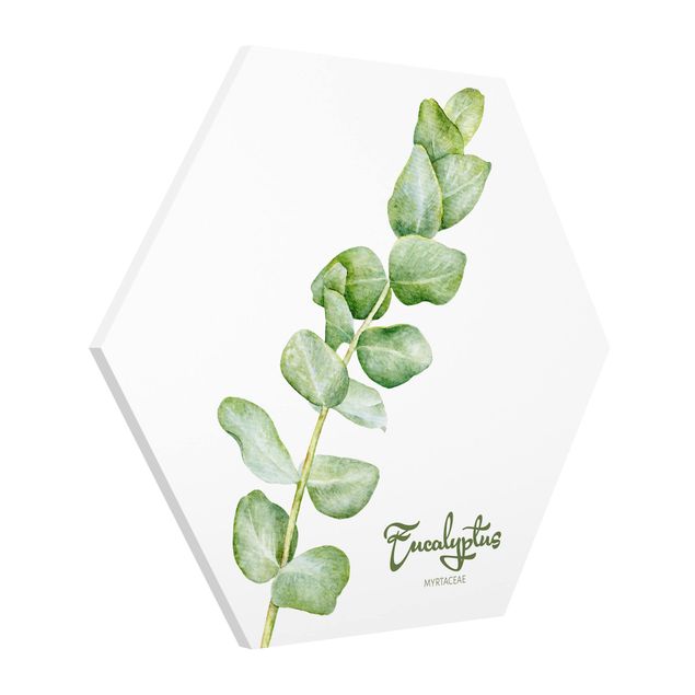 quadro com frases inspiradoras Watercolour Botany Eucalyptus