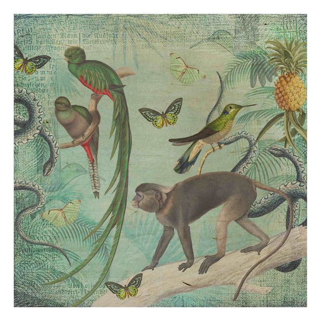 Quadros em madeira flores Colonial Style Collage - Monkeys And Birds Of Paradise