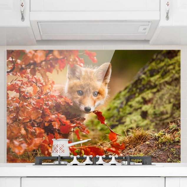 decoraçao para parede de cozinha Fox In Autumn