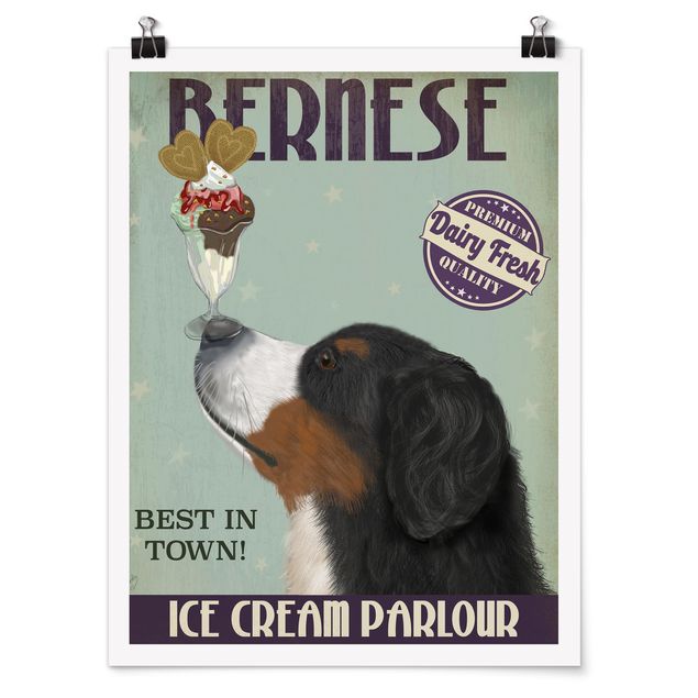 Posters animais Bernese Mountain Dog With Ice