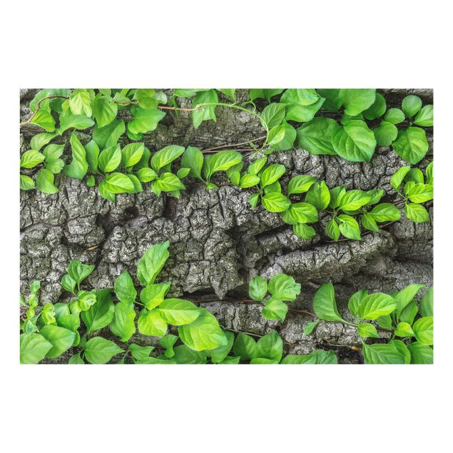 Painel anti-salpicos de cozinha Ivy Tree Bark