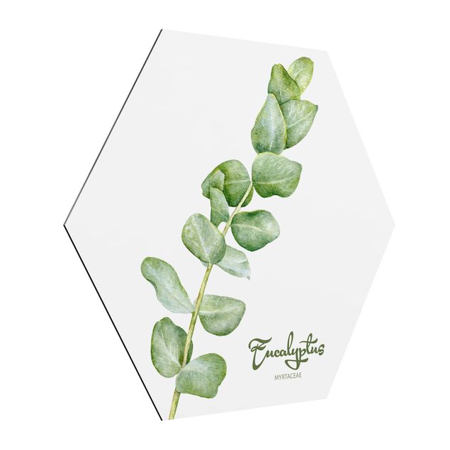 quadro com frases inspiradoras Watercolour Botany Eucalyptus