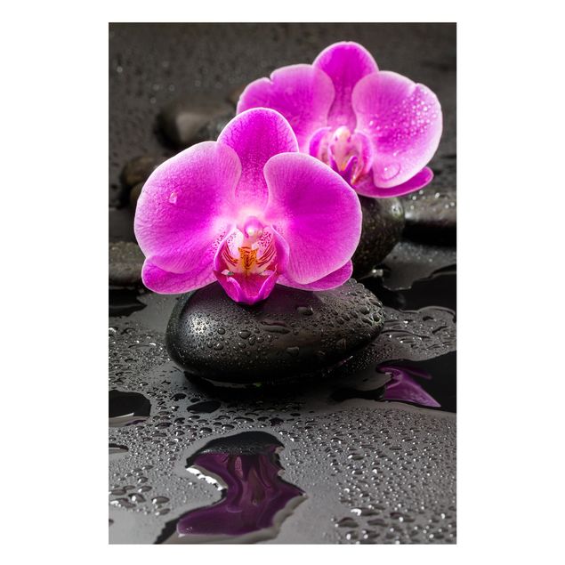 decoraçoes cozinha Pink Orchid Flower On Stones With Drops