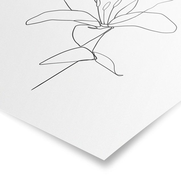 Quadros florais Line Art Flower Black White