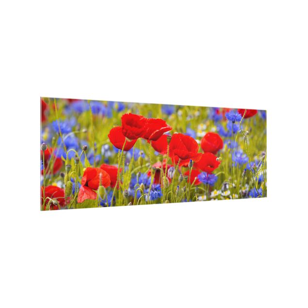 painéis antisalpicos Summer Meadow With Poppies And Cornflowers
