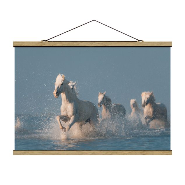quadro animal Herd Of White Horses