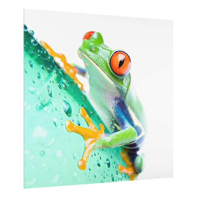 Painel anti-salpicos de cozinha Frog