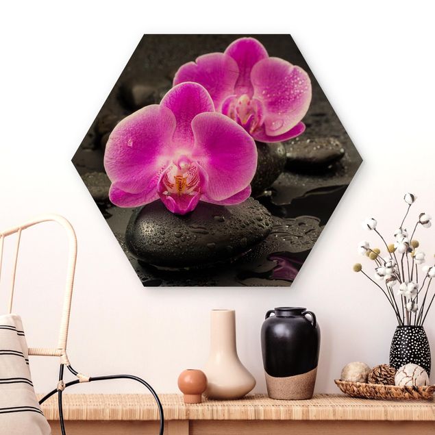 Quadros orquídeas Pink Orchid Flowers On Stones With Drops