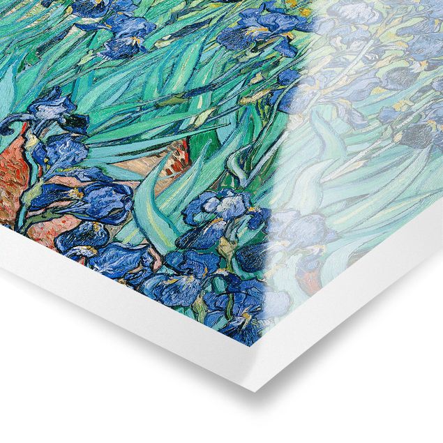 Posters quadros famosos Vincent Van Gogh - Iris