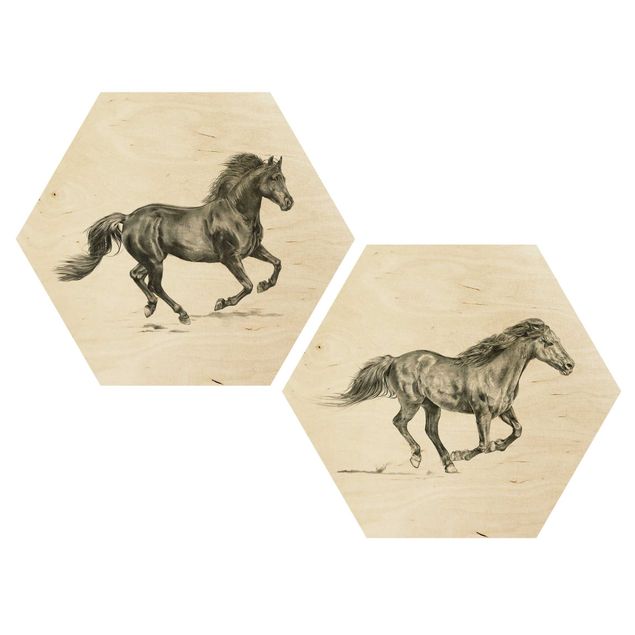 Quadros hexagonais Wild Horse Study Set I