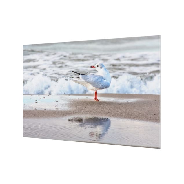 Painel anti-salpicos de cozinha Seagull On The Beach In Front Of The Sea