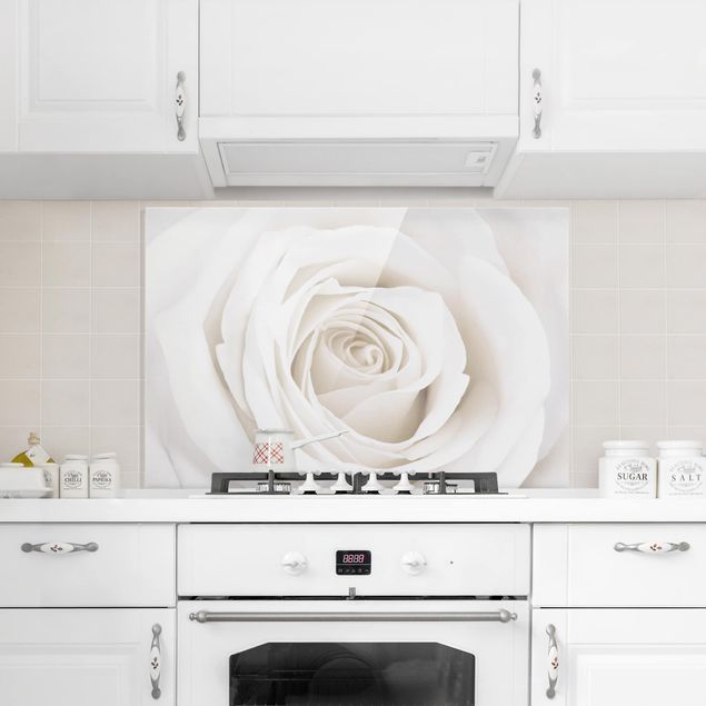 Painel anti-salpicos de cozinha flores Pretty White Rose