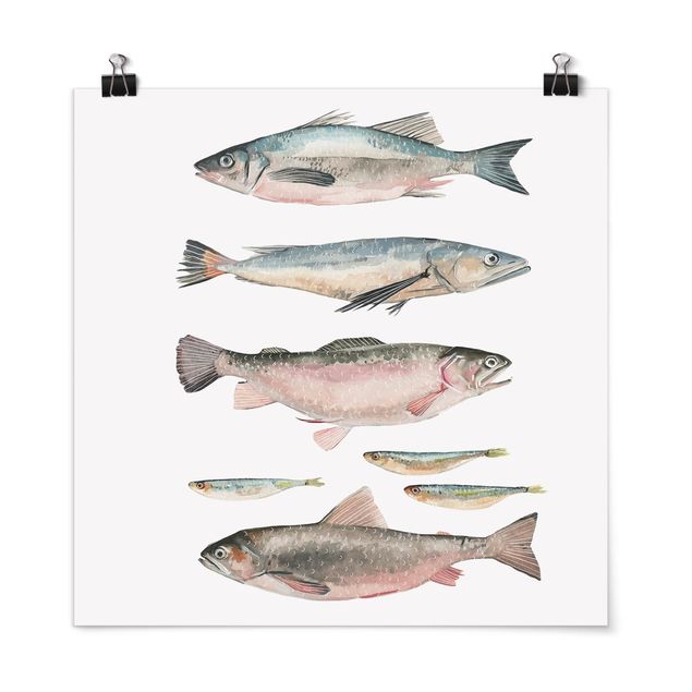 Posters frases Seven Fish In Watercolour I