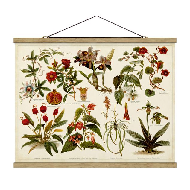 quadro com flores Vintage Board Tropical Botany II