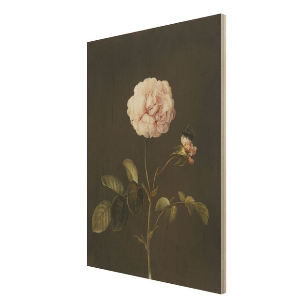Quadros em madeira flores Barbara Regina Dietzsch - French Rose With Bumblbee