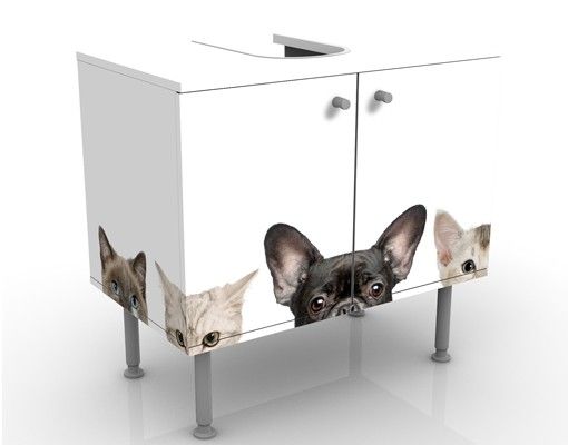 Móveis para lavatório Cats With Puppy Dog Eyes