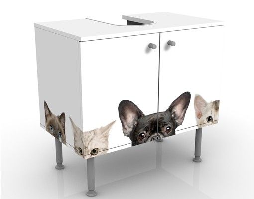 Móveis para lavatório Cats With Puppy Dog Eyes