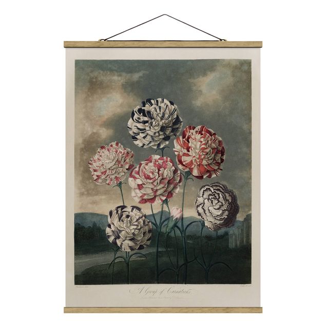 Quadros retro Botany Vintage Illustration Blue And Red Carnations
