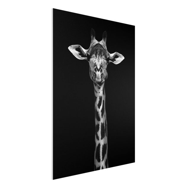 decoraçao para parede de cozinha Dark Giraffe Portrait