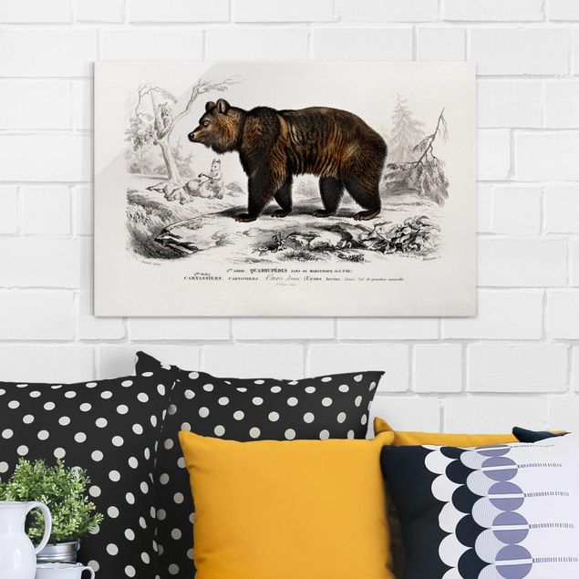 Quadros ursos Vintage Board Brown Bear