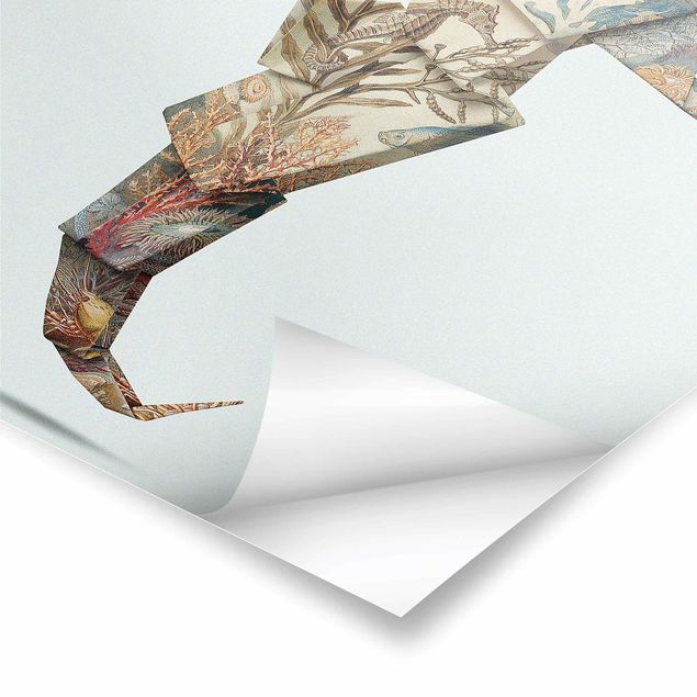 Quadros de Jonas Loose Origami Seahorse