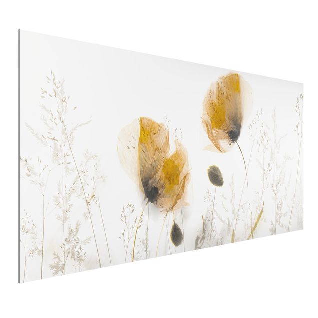 Quadros papoilas Poppy Flowers And Delicate Grasses In Soft Fog