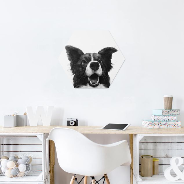 Quadros cães Illustration Dog Border Collie Black And White Painting