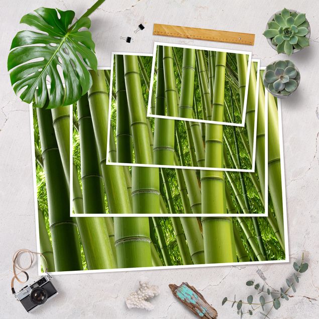 poster decoração Bamboo Trees No.2