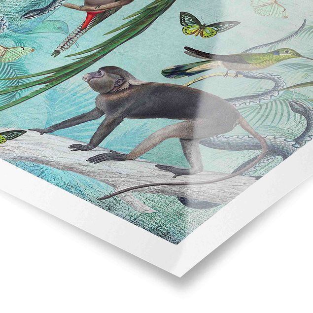 Quadros verdes Colonial Style Collage - Monkeys And Birds Of Paradise