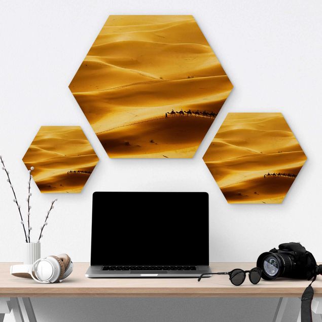 Quadros hexagonais Golden Dunes